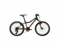 Vtt Lapierre Prorace 20 2022