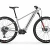MONDRAKER THUNDRA 29 SRAM SX ARGENT 2021