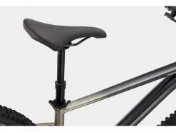 CANNONDALE TRAIL SE 1 SRAM NX/SX EAGLE 12V 29'' GRIS METEOR 2021 -Boutique de vente VTT & VTC VTT SEMI RIGIDE CANNONDALE TRAIL SE 1 SRAM NX SX EAGLE 12V 29 GRIS METEOR 2021 4